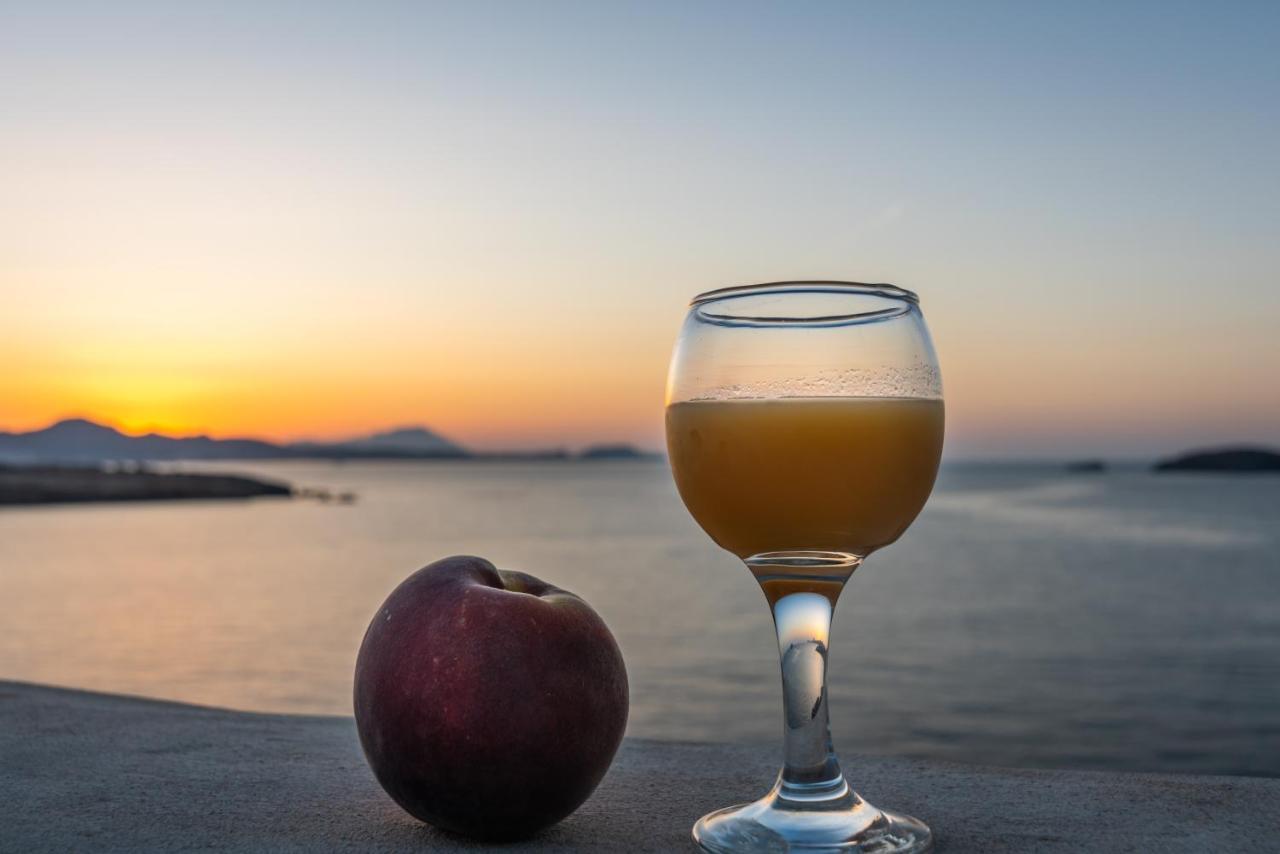 Villa Zefyros Πάχαινα Εξωτερικό φωτογραφία
